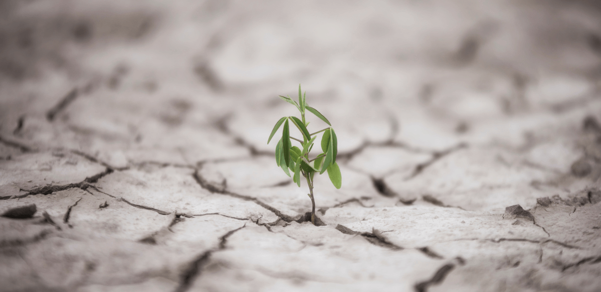 Featured image for “Be a godly coach: patient endurance”